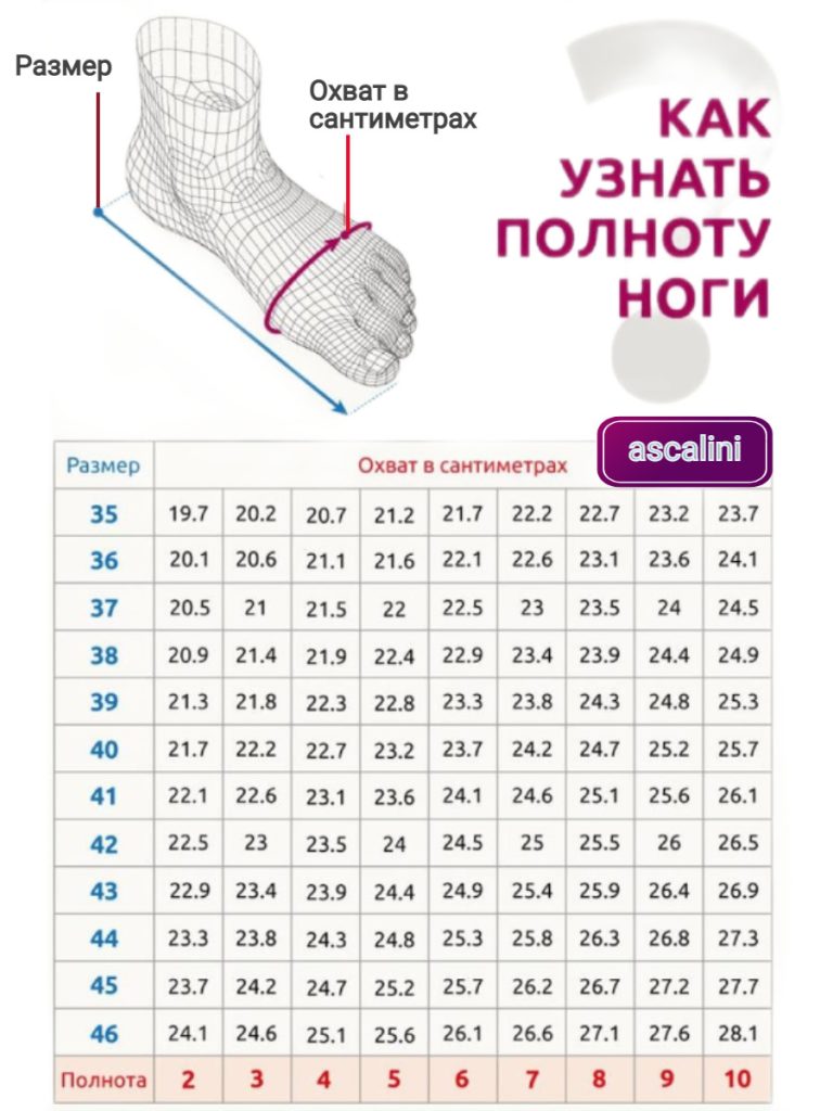 Туфли женские Ascalini G1261K